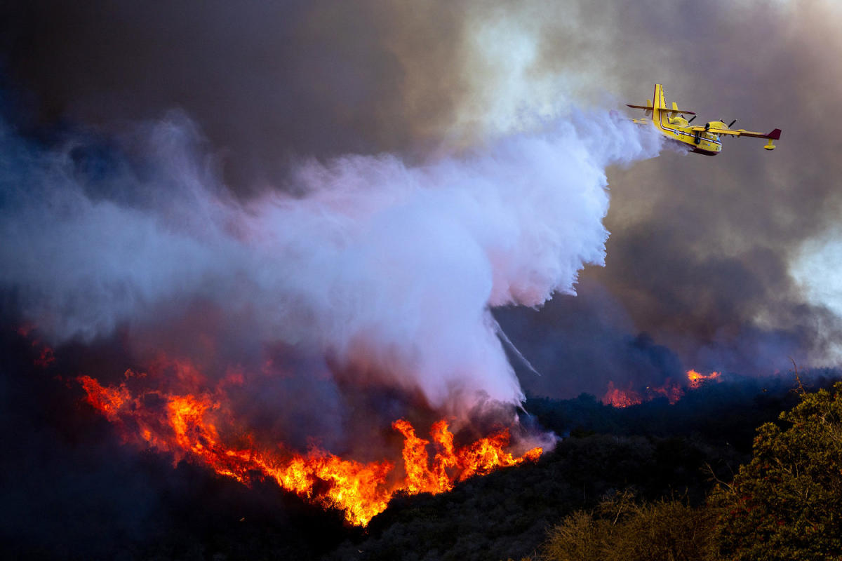 Api di California: Bagaimana Cuaca dan Perubahan Iklim Memicu Kebakaran