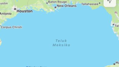 Apple Maps Bakal Tiru Google: Teluk Meksiko Jadi Teluk Amerika!