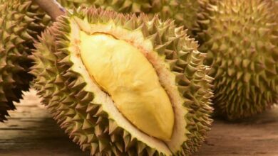 Berapa Batas Aman Konsumsi Durian dalam Sehari? Temukan Jawabannya!