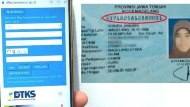 Cara Mudah Cek NIK KTP untuk Validasi Penerima Bansos