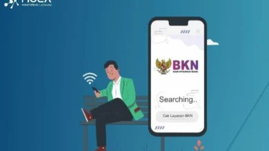 Cek Progres NIP CPNS dan PPPK 2024 Lewat MOLA BKN, Ini Caranya!