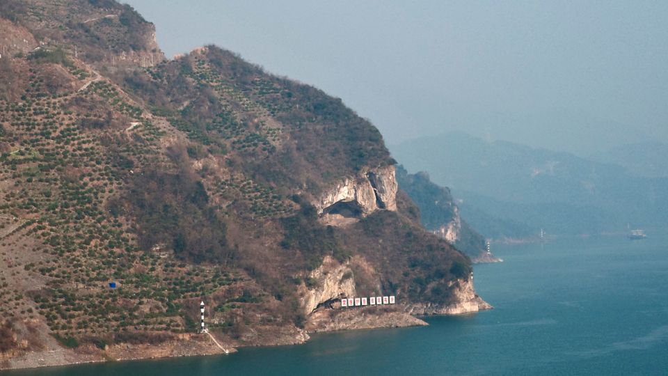 China’s ‘Puppy Mountain’ Viral: Fenomena Menggemaskan yang Mengguncang!