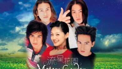 Daftar Film Jadul Populer Barbie Hsu: Sancai dari Meteor Garden!