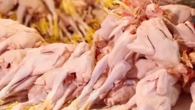 Harga Ayam Potong Merangkak Naik Jelang Ramadan, Emak-emak Santai