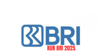 Mudah dan Efektif: Tips Cerdas Lolos KUR BRI 2025 untuk Usaha!