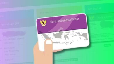 Panduan Lengkap Cara Daftar PIP 2025 untuk Siswa SD, SMP, SMA/SMK