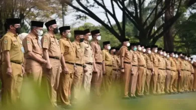 Panduan Lengkap: Cara Lapor Harta Kekayaan Aparatur Negara 2025