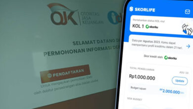 Panduan Praktis Cek BI Checking Pakai NIK KTP Secara Online