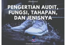 Pengertian Audit: Fungsi, Tahapan, dan Jenisnya yang Perlu Diketahui