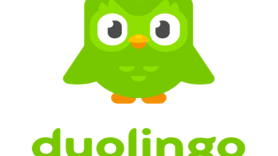 Respons Kocak Pengguna Setelah Si Burung Hantu Duolingo Mati!