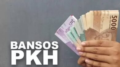 Solusi Praktis: Atasi Kesalahan Kode Verifikasi Cek NIK Bansos PKH 2025