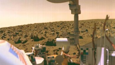 Apakah Saatnya Meneliti Temuan Lander Viking NASA di Mars 1976?