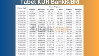 Chan Cara Pengajuan Pinjaman KUR BRI 2025, Dapatkan Rp500 Juta!