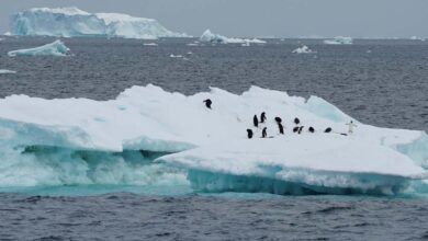 Es Antartika Mencair: Pengaruhi Suhu Laut dan Picu Kenaikan Permukaan